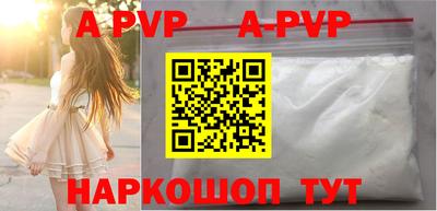 гашик Моздок