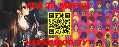 стаф Можга