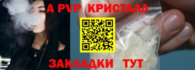 стаф Можга