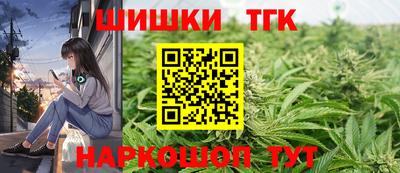 гашик Моздок