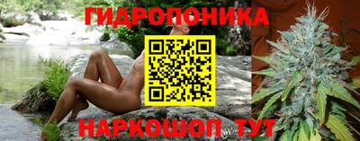 стаф Можга