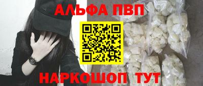гашик Моздок