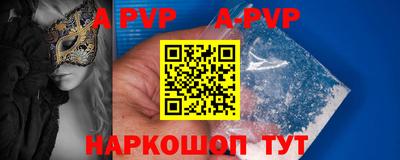 гашик Моздок