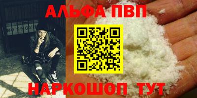 гашик Моздок