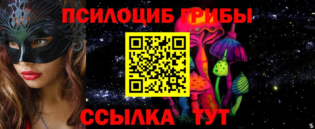 Псилоцибиновые грибы мицелий Тара