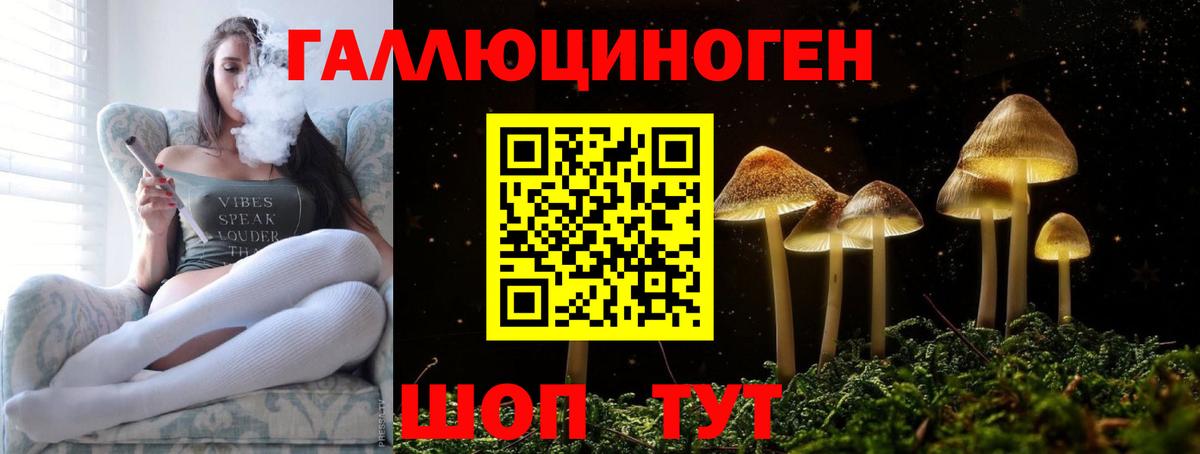 Галлюциногенные грибы Psilocybine cubensis  Вход с VPN  Тара 